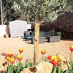 Vakantiehuis G Bobola Cigale Et Fourmi La Tour-sur-Orb